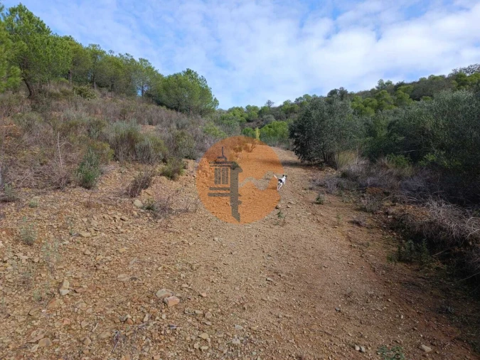 Terreno para Venda em Alcoutim e Pereiro Foto 12