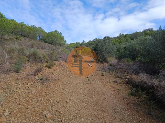 Terreno para Venda em Alcoutim e Pereiro Foto 16