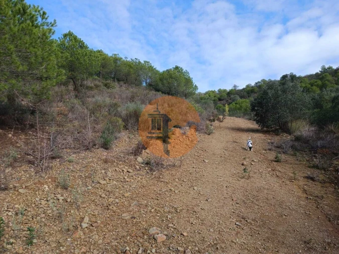 Terreno para Venda em Alcoutim e Pereiro Foto 18