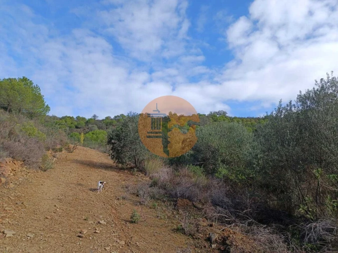 Terreno para Venda em Alcoutim e Pereiro Foto 24