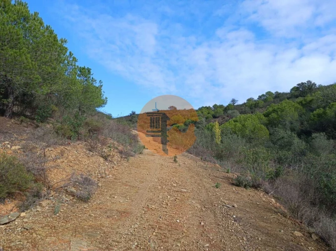 Terreno para Venda em Alcoutim e Pereiro Foto 29