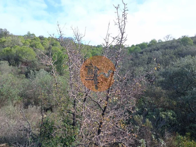 Terreno para Venda em Alcoutim e Pereiro Foto 30