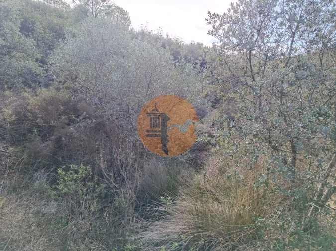 Terreno para Venda em Alcoutim e Pereiro Foto 3