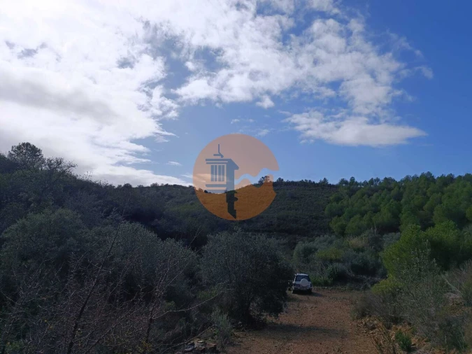 Terreno para Venda em Alcoutim e Pereiro Foto 33