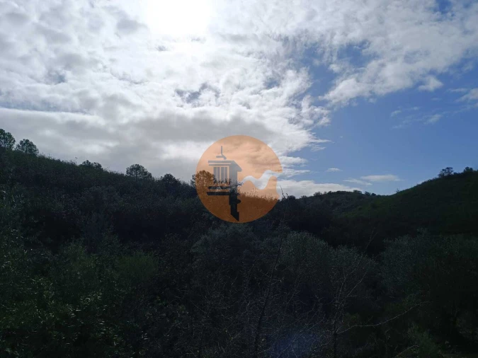 Terreno para Venda em Alcoutim e Pereiro Foto 34