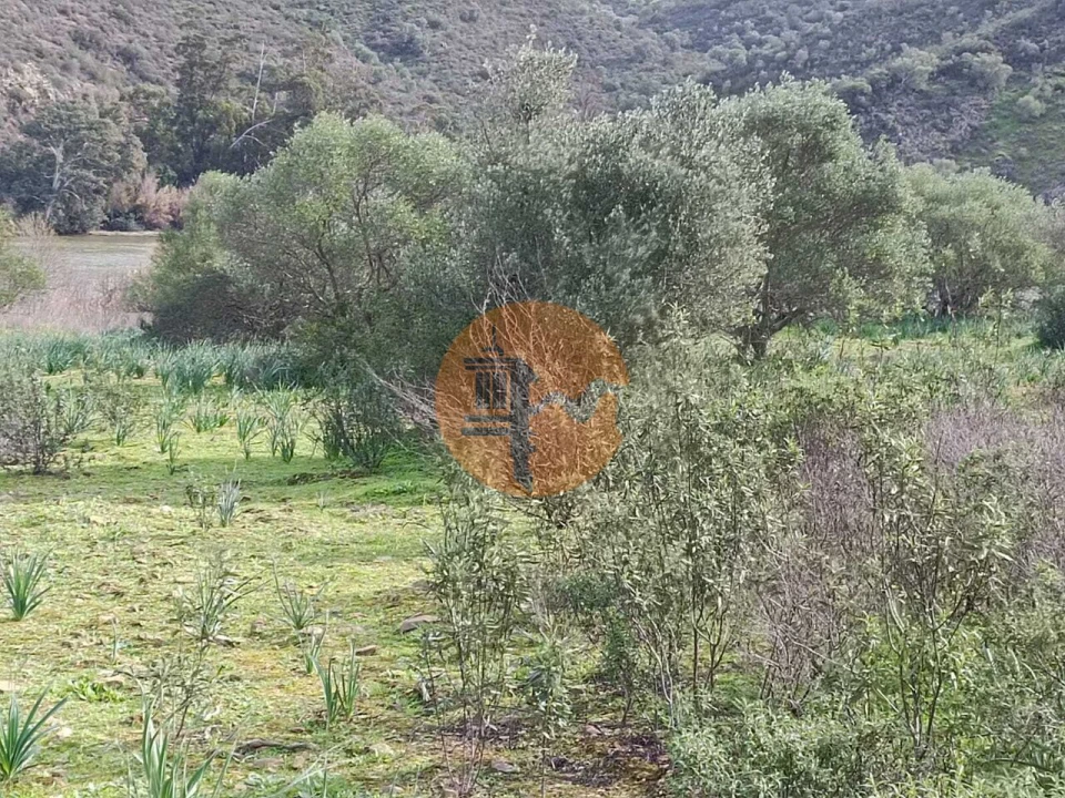 Terreno para Venda em Alcoutim e Pereiro Foto 4