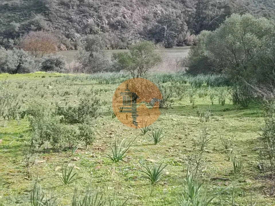 Terreno para Venda em Alcoutim e Pereiro Foto 5