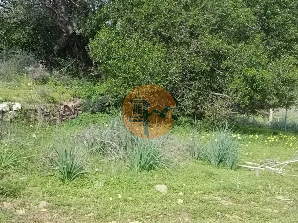 Terreno para Venda em Alcoutim e Pereiro Foto 6