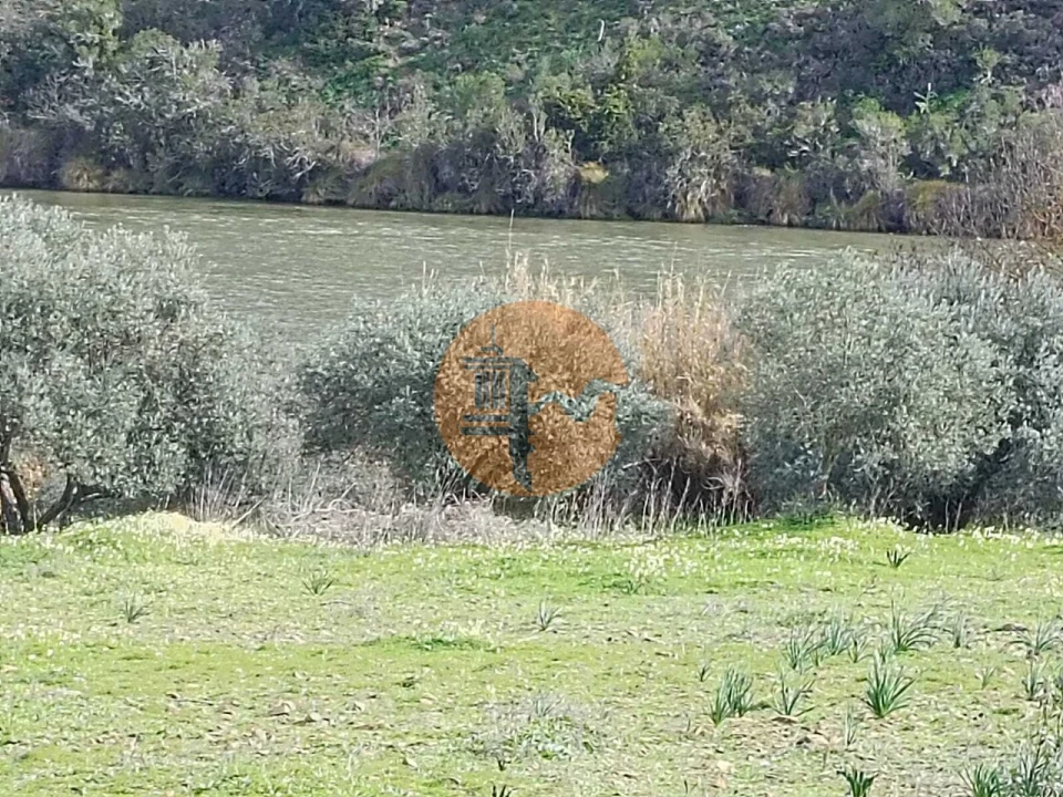 Terreno para Venda em Alcoutim e Pereiro Foto 10