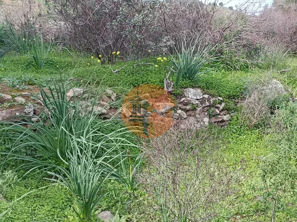 Terreno para Venda em Alcoutim e Pereiro Foto 12