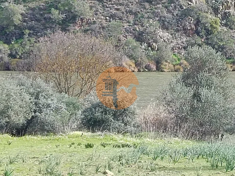 Terreno para Venda em Alcoutim e Pereiro Foto 13