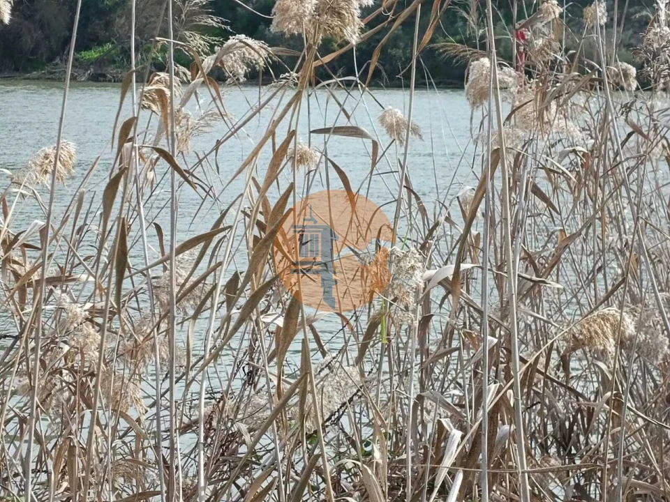 Terreno para Venda em Alcoutim e Pereiro Foto 21
