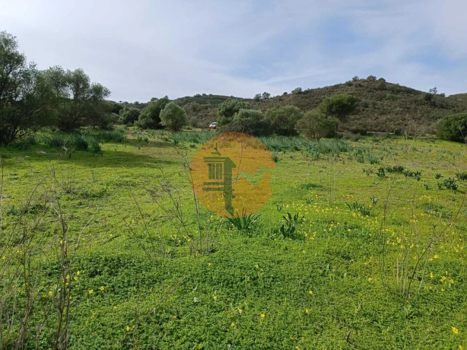 Terreno para Venda em Alcoutim e Pereiro Foto 22