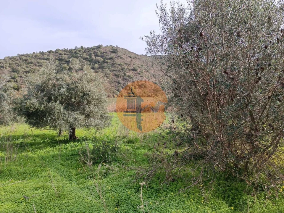 Terreno para Venda em Alcoutim e Pereiro Foto 23