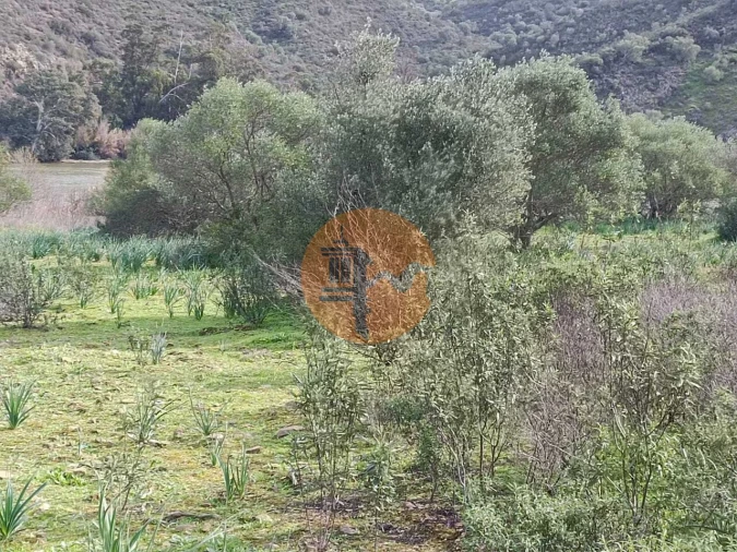 Terreno para Venda em Alcoutim e Pereiro Foto 4