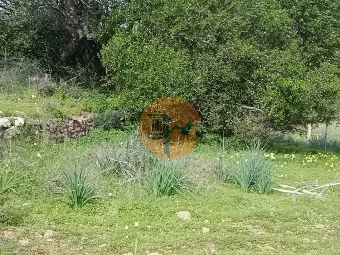 Terreno para Venda em Alcoutim e Pereiro Foto 6