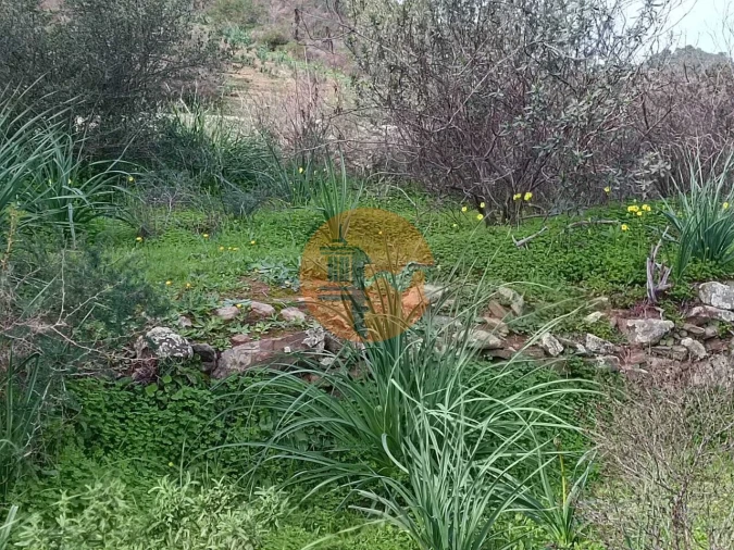 Terreno para Venda em Alcoutim e Pereiro Foto 8