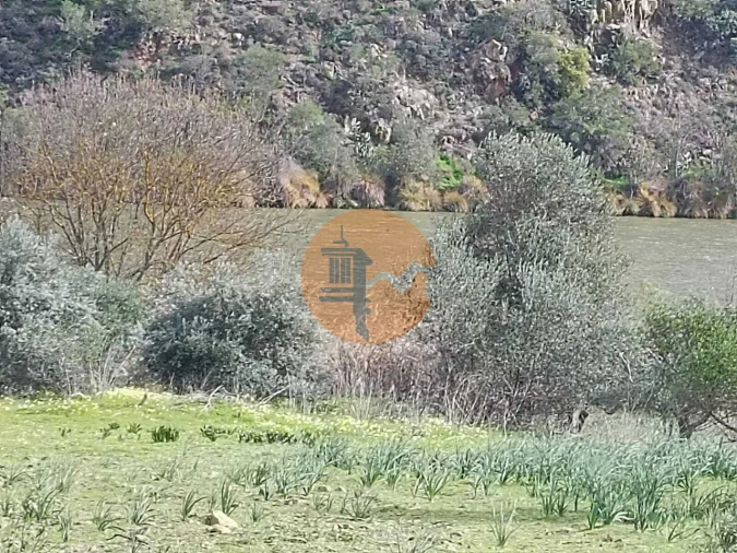 Terreno para Venda em Alcoutim e Pereiro Foto 9