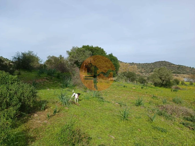 Terreno para Venda em Alcoutim e Pereiro Foto 15