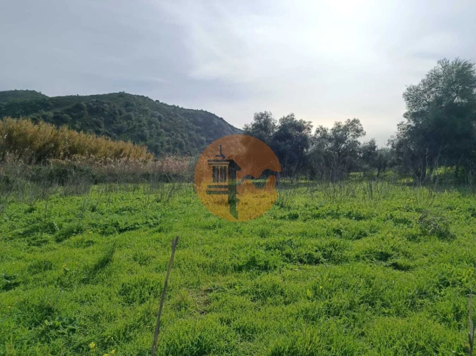 Terreno para Venda em Alcoutim e Pereiro Foto 17