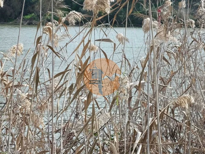 Terreno para Venda em Alcoutim e Pereiro Foto 21