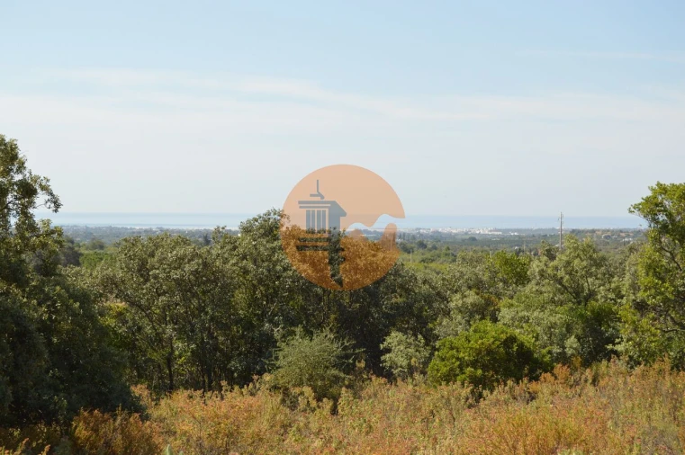 Terreno para Venda em Moncarapacho e Fuseta Foto 6