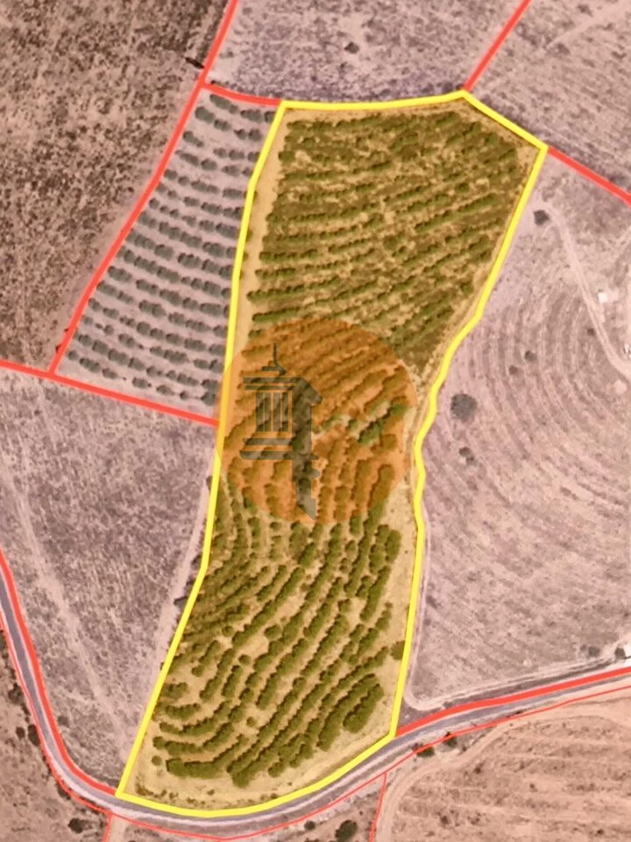 Terreno para Venda em Alcoutim e Pereiro Foto 2