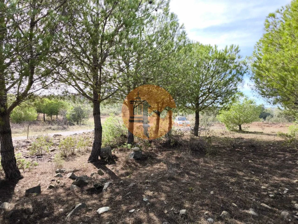 Terreno para Venda em Alcoutim e Pereiro Foto 1