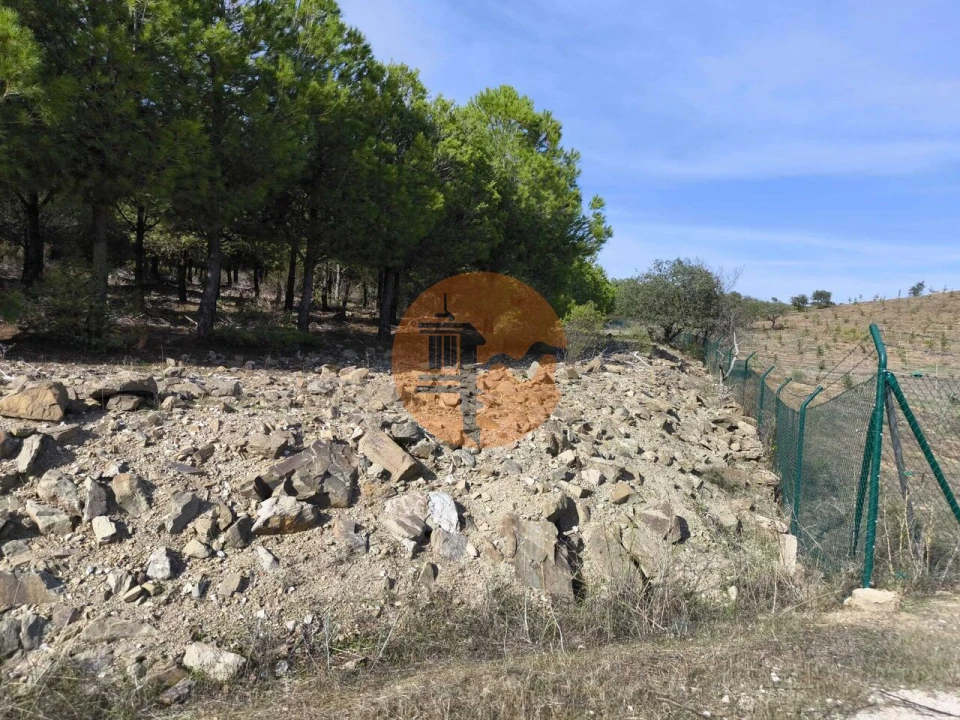 Terreno para Venda em Alcoutim e Pereiro Foto 4