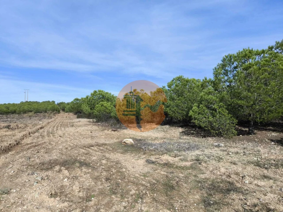 Terreno para Venda em Alcoutim e Pereiro Foto 5