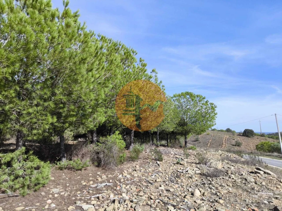 Terreno para Venda em Alcoutim e Pereiro Foto 6