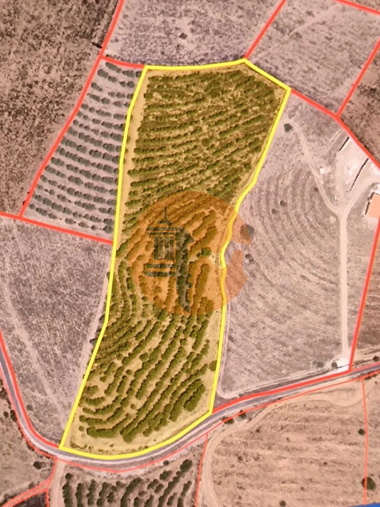 Terreno para Venda em Alcoutim e Pereiro Foto 7