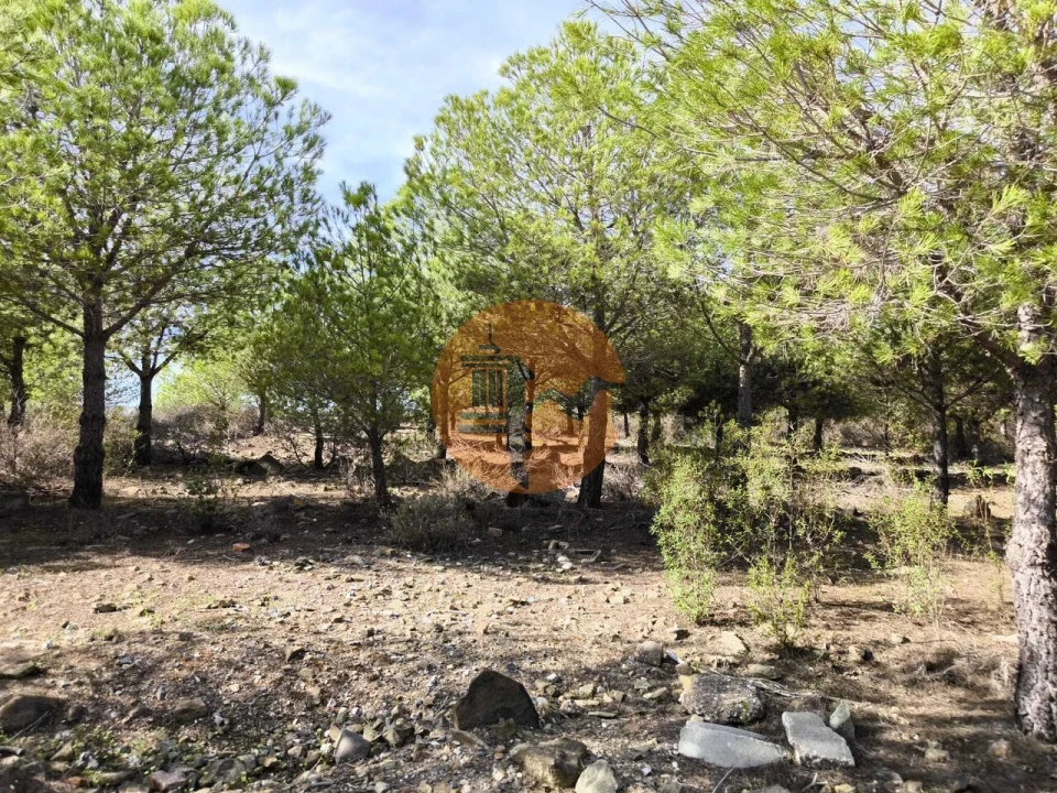 Terreno para Venda em Alcoutim e Pereiro Foto 22
