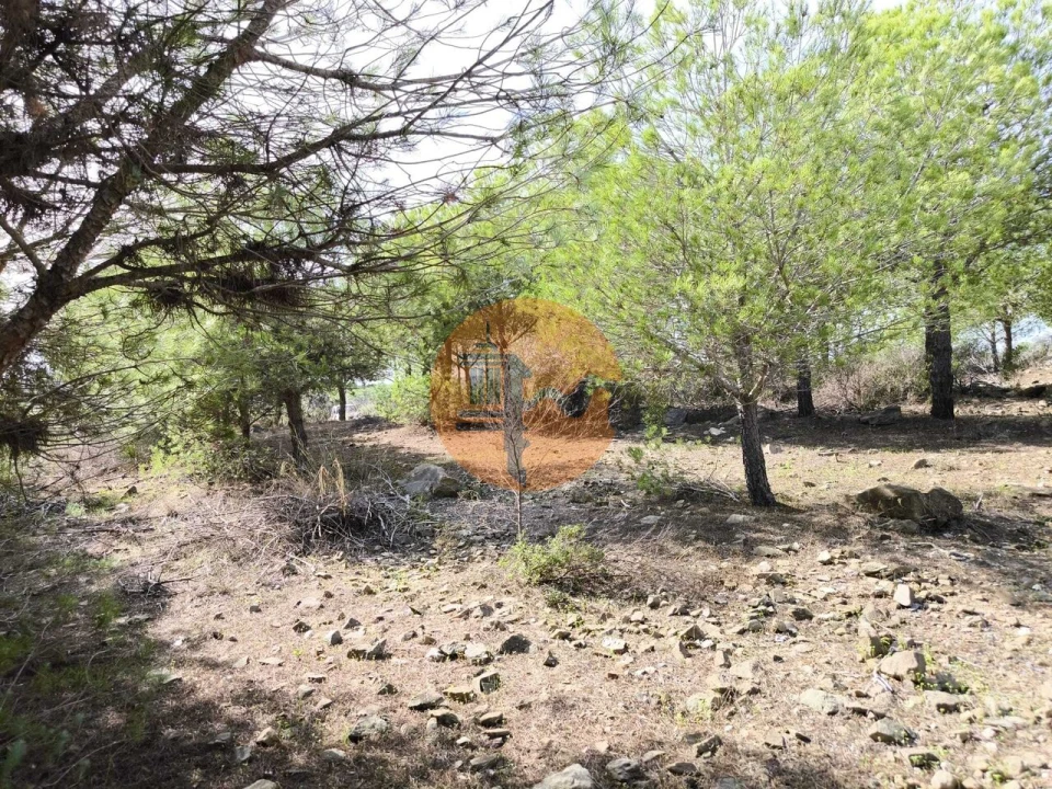 Terreno para Venda em Alcoutim e Pereiro Foto 24