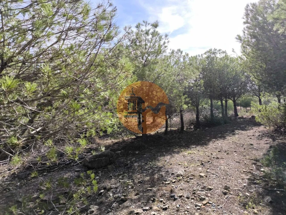 Terreno para Venda em Alcoutim e Pereiro Foto 25