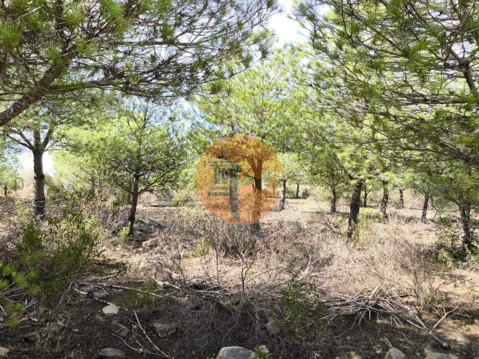 Terreno para Venda em Alcoutim e Pereiro Foto 28