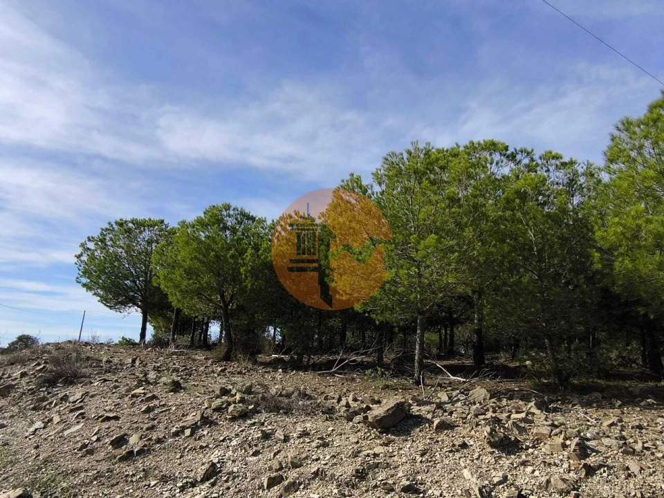 Terreno para Venda em Alcoutim e Pereiro Foto 32