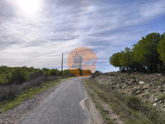 Terreno para Venda em Alcoutim e Pereiro Foto 3