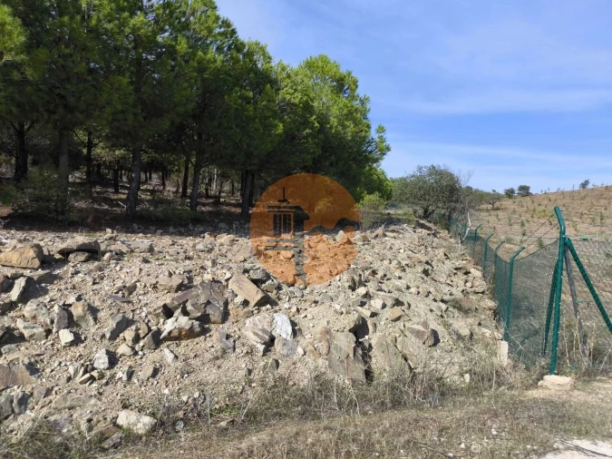 Terreno para Venda em Alcoutim e Pereiro Foto 4