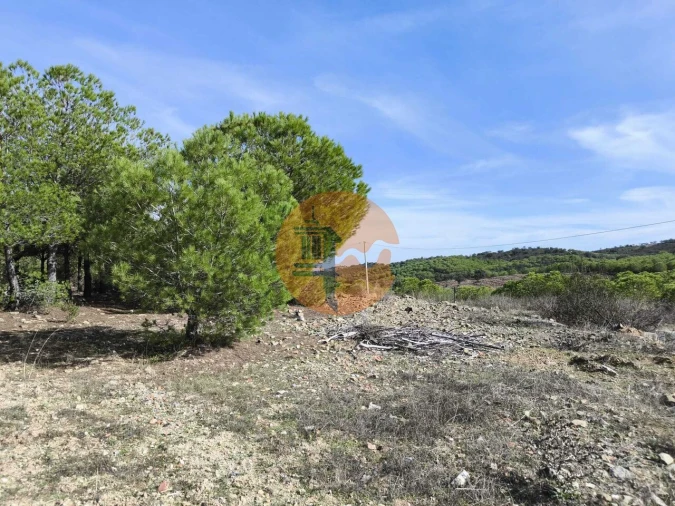 Terreno para Venda em Alcoutim e Pereiro Foto 9