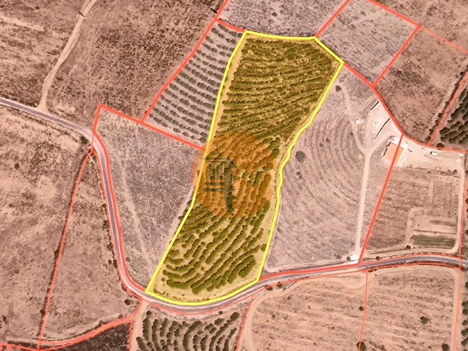 Terreno para Venda em Alcoutim e Pereiro Foto 13