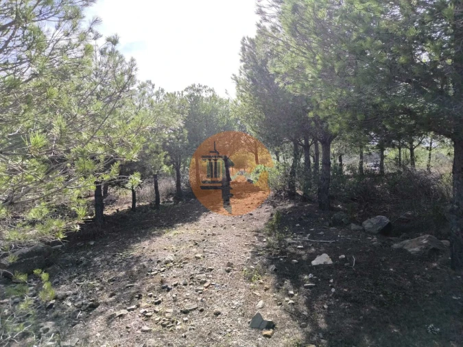 Terreno para Venda em Alcoutim e Pereiro Foto 26