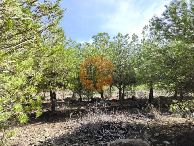 Terreno para Venda em Alcoutim e Pereiro Foto 27
