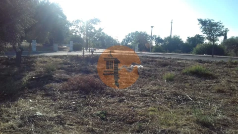 Terreno para Venda em Conceição e Estoi