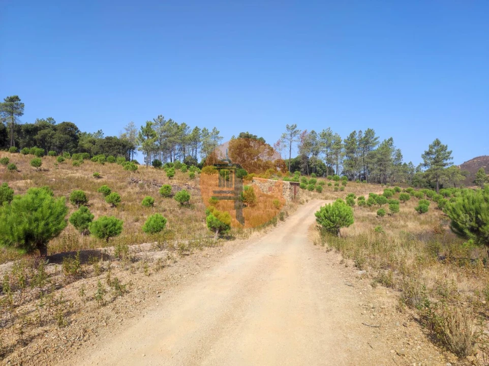 Terreno para Venda em Loule (São Clemente) Foto 9