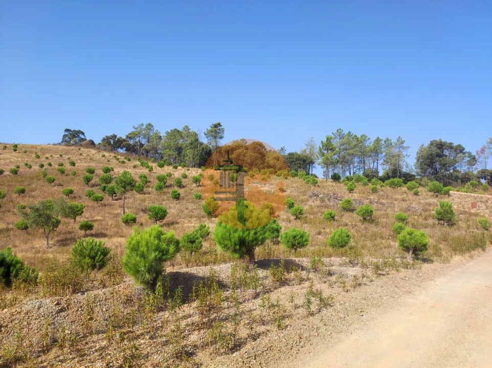 Terreno para Venda em Loule (São Clemente) Foto 8