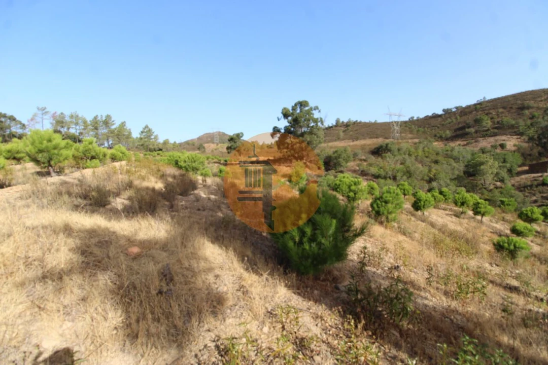 Terreno para Venda em Loule (São Clemente) Foto 10