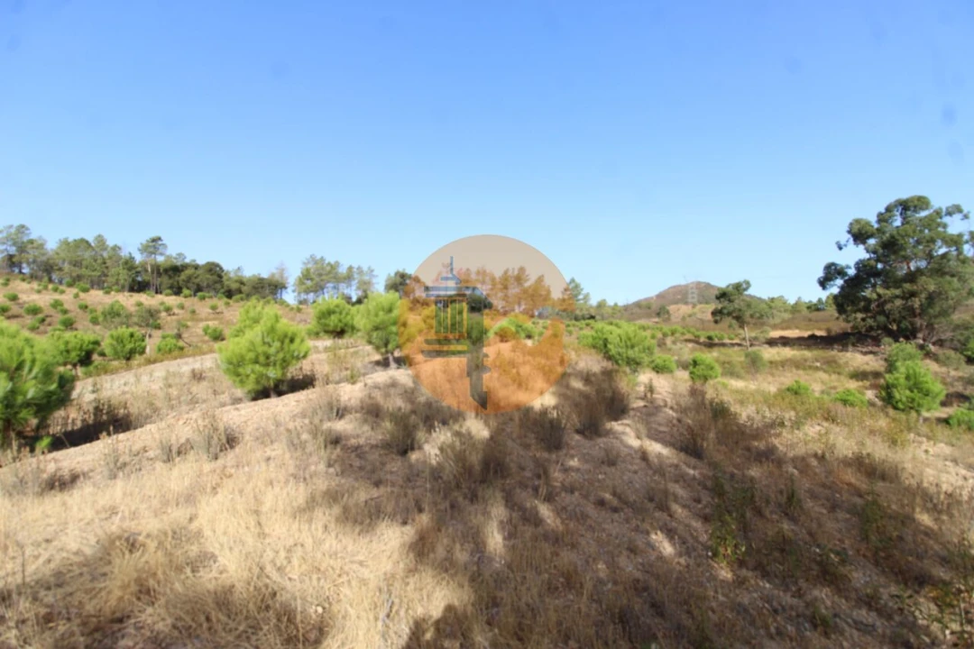 Terreno para Venda em Loule (São Clemente) Foto 11