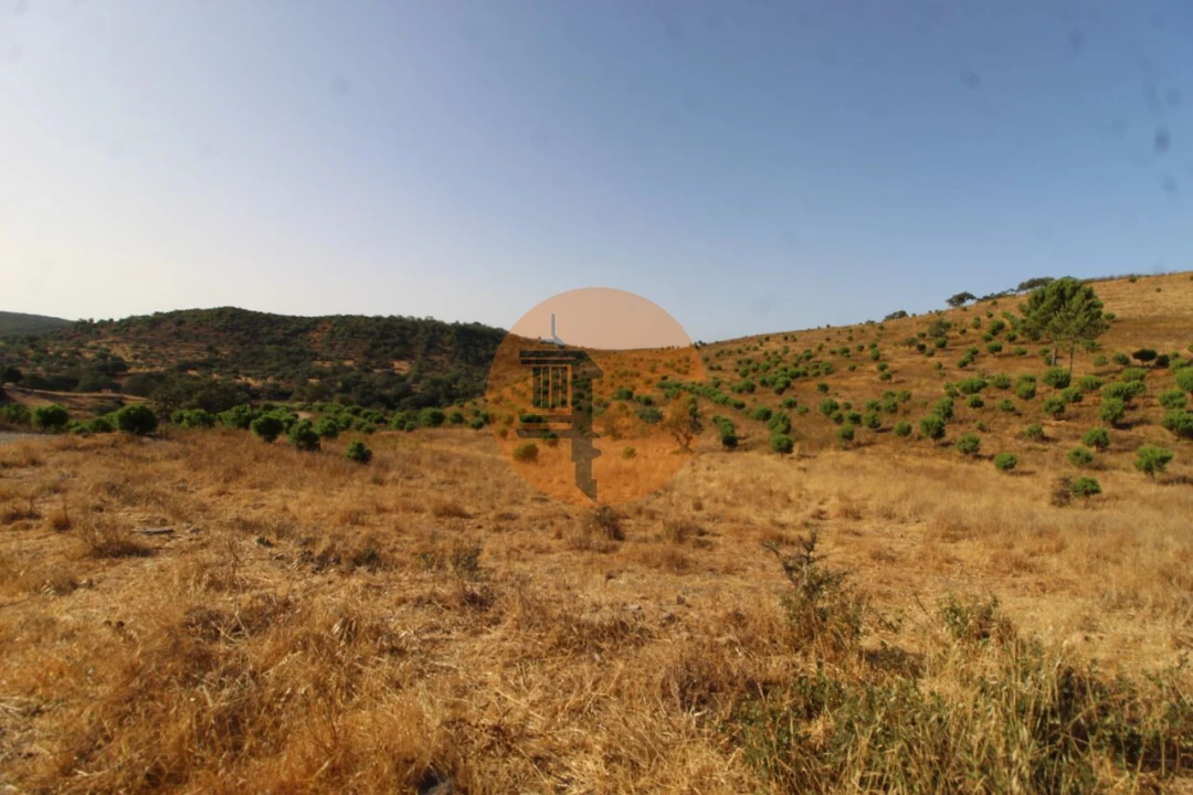 Terreno para Venda em Loule (São Clemente) Foto 5