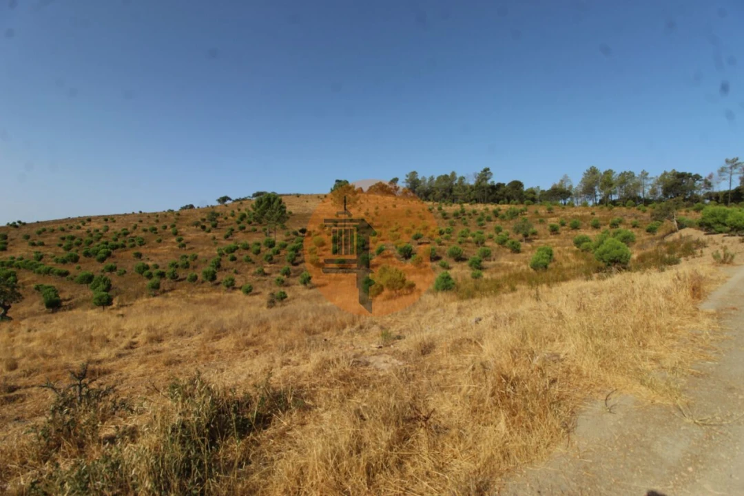 Terreno para Venda em Loule (São Clemente) Foto 6